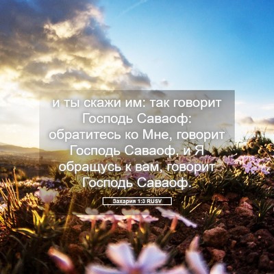 Picture 05 - Захария 1:3 RUSV - и ты скажи им: так говорит - Bible Verse Picture