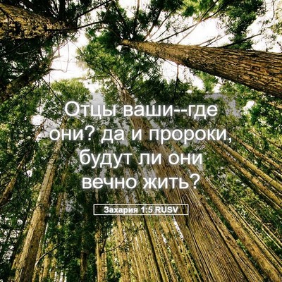 Picture 05 - Захария 1:5 RUSV - Отцы ваши--где они? да и - Bible Verse Picture
