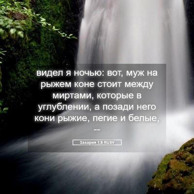 Picture 05 - Захария 1:8 RUSV - видел я ночью: вот, муж на - Bible Verse Picture