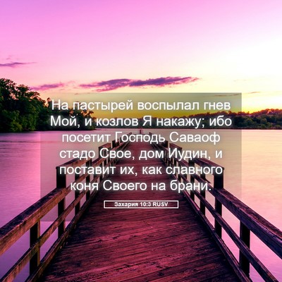 Picture 05 - Захария 10:3 RUSV - На пастырей воспылал гнев - Bible Verse Picture