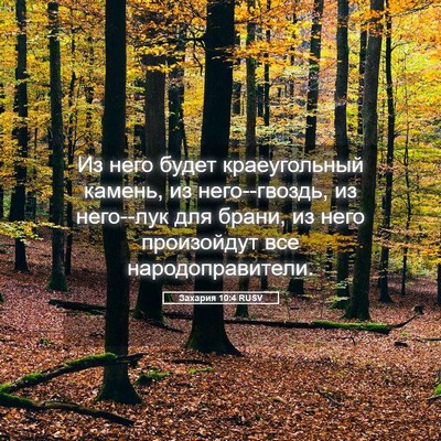 Picture 05 - Захария 10:4 RUSV - Из него будет краеугольный - Bible Verse Picture
