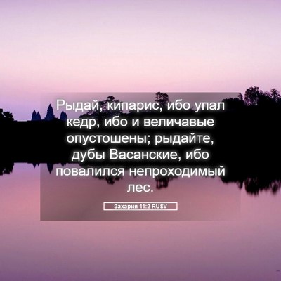 Picture 05 - Захария 11:2 RUSV - Рыдай, кипарис, ибо упал - Bible Verse Picture