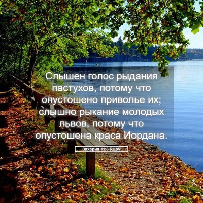 Picture 05 - Захария 11:3 RUSV - Слышен голос рыдания - Bible Verse Picture
