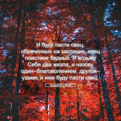 Picture 05 - Захария 11:7 RUSV - И буду пасти овец, - Bible Verse Picture