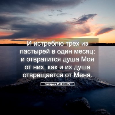 Picture 05 - Захария 11:8 RUSV - И истреблю трех из - Bible Verse Picture