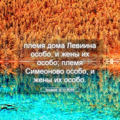 Picture 05 - Захария 12:13 RUSV - племя дома Левиина особо, и - Bible Verse Picture