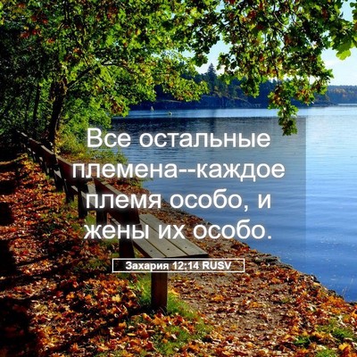 Picture 05 - Захария 12:14 RUSV - Все остальные - Bible Verse Picture
