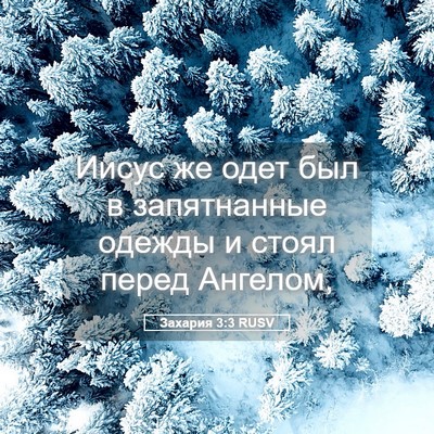 Picture 05 - Захария 3:3 RUSV - Иисус же одет был в - Bible Verse Picture
