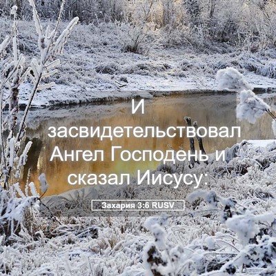 Picture 05 - Захария 3:6 RUSV - И засвидетельствовал - Bible Verse Picture