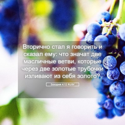 Picture 05 - Захария 4:12 RUSV - Вторично стал я говорить и - Bible Verse Picture