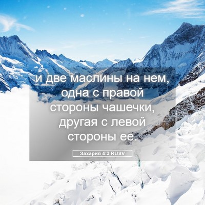 Picture 05 - Захария 4:3 RUSV - и две маслины на нем, одна с - Bible Verse Picture