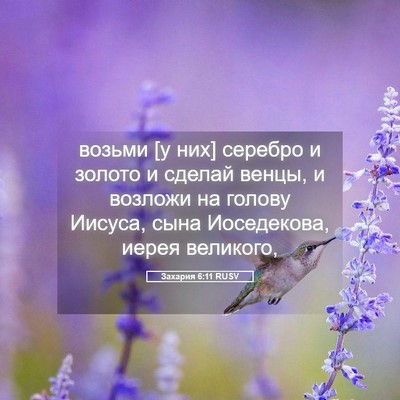 Picture 05 - Захария 6:11 RUSV - возьми [у них] серебро и - Bible Verse Picture
