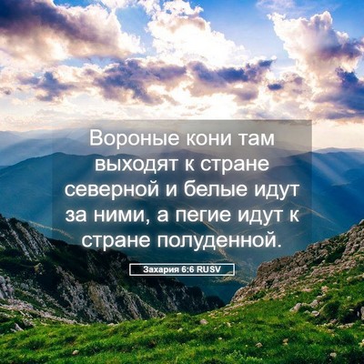 Picture 05 - Захария 6:6 RUSV - Вороные кони там выходят к - Bible Verse Picture