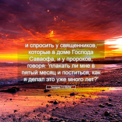 Picture 05 - Захария 7:3 RUSV - и спросить у священников, - Bible Verse Picture