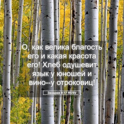Picture 05 - Захария 9:17 RUSV - О, как велика благость его - Bible Verse Picture