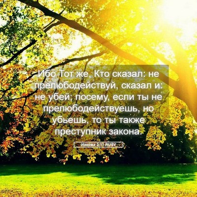 Picture 05 - Иакова 2:11 RUSV - Ибо Тот же, Кто сказал: не - Bible Verse Picture