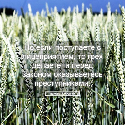 Picture 05 - Иакова 2:9 RUSV - Но если поступаете с - Bible Verse Picture