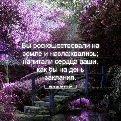 Picture 05 - Иакова 5:5 RUSV - Вы роскошествовали на - Bible Verse Picture