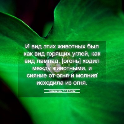 Picture 05 - Иезекииль 1:13 RUSV - И вид этих животных был как - Bible Verse Picture