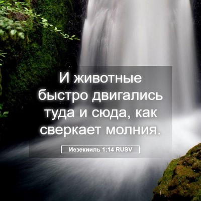 Picture 05 - Иезекииль 1:14 RUSV - И животные быстро - Bible Verse Picture