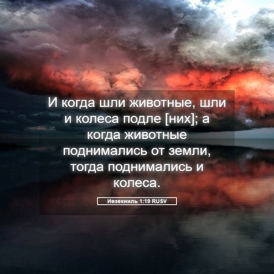 Picture 05 - Иезекииль 1:19 RUSV - И когда шли животные, шли и - Bible Verse Picture
