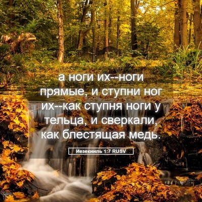 Picture 05 - Иезекииль 1:7 RUSV - а ноги их--ноги прямые, и - Bible Verse Picture