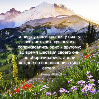 Picture 05 - Иезекииль 1:9 RUSV - и лица у них и крылья у - Bible Verse Picture