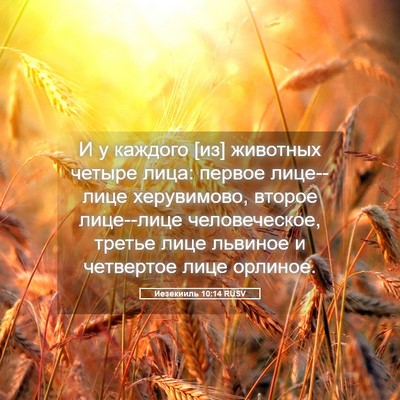 Picture 05 - Иезекииль 10:14 RUSV - И у каждого [из] животных - Bible Verse Picture