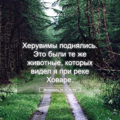 Picture 05 - Иезекииль 10:15 RUSV - Херувимы поднялись. Это - Bible Verse Picture