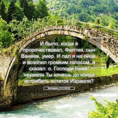 Picture 05 - Иезекииль 11:13 RUSV - И было, когда я - Bible Verse Picture
