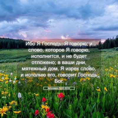 Picture 05 - Иезекииль 12:25 RUSV - Ибо Я Господь, Я говорю; и - Bible Verse Picture