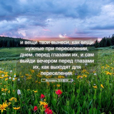 Picture 05 - Иезекииль 12:4 RUSV - и вещи твои вынеси, как - Bible Verse Picture