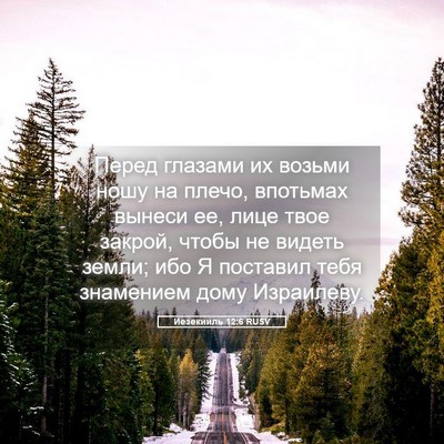 Picture 05 - Иезекииль 12:6 RUSV - Перед глазами их возьми - Bible Verse Picture