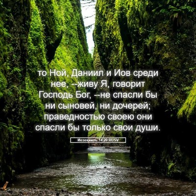 Picture 05 - Иезекииль 14:20 RUSV - то Ной, Даниил и Иов среди - Bible Verse Picture