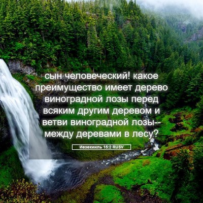 Picture 05 - Иезекииль 15:2 RUSV - сын человеческий! какое - Bible Verse Picture