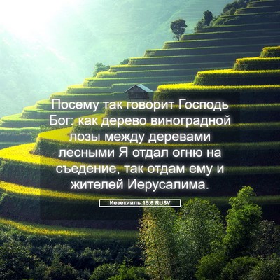 Picture 05 - Иезекииль 15:6 RUSV - Посему так говорит Господь - Bible Verse Picture