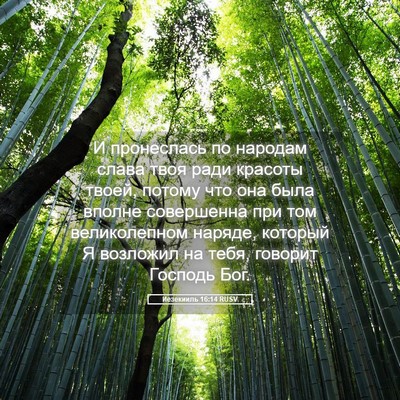 Picture 05 - Иезекииль 16:14 RUSV - И пронеслась по народам - Bible Verse Picture
