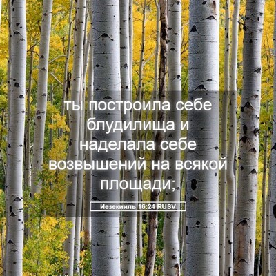 Picture 05 - Иезекииль 16:24 RUSV - ты построила себе - Bible Verse Picture