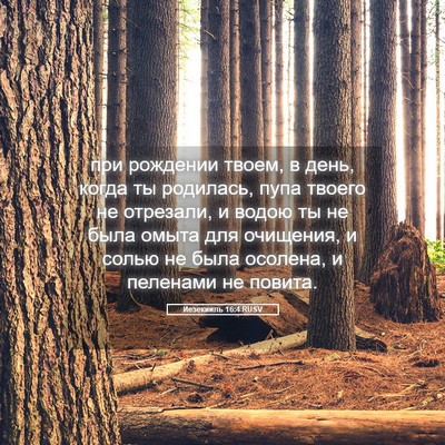 Picture 05 - Иезекииль 16:4 RUSV - при рождении твоем, в день, - Bible Verse Picture