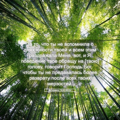 Picture 05 - Иезекииль 16:43 RUSV - За то, что ты не вспомнила о - Bible Verse Picture