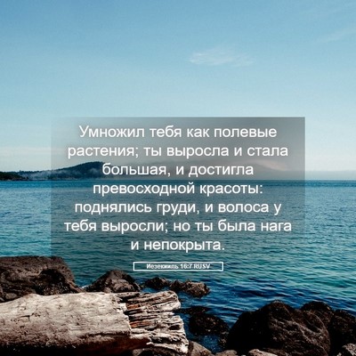 Picture 05 - Иезекииль 16:7 RUSV - Умножил тебя как полевые - Bible Verse Picture