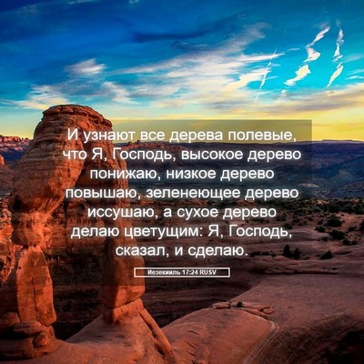 Picture 05 - Иезекииль 17:24 RUSV - И узнают все дерева - Bible Verse Picture