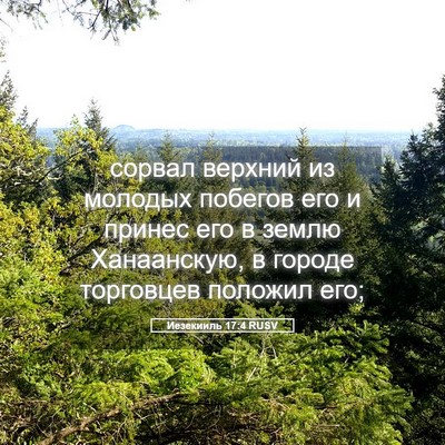 Picture 05 - Иезекииль 17:4 RUSV - сорвал верхний из молодых - Bible Verse Picture