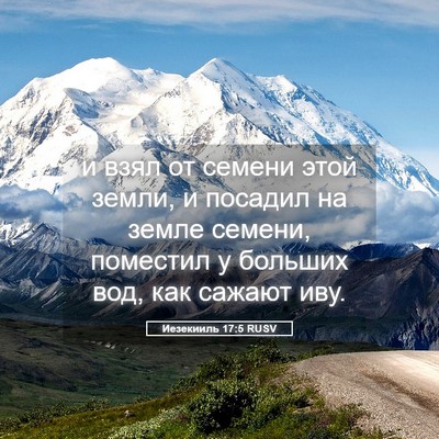 Picture 05 - Иезекииль 17:5 RUSV - и взял от семени этой - Bible Verse Picture