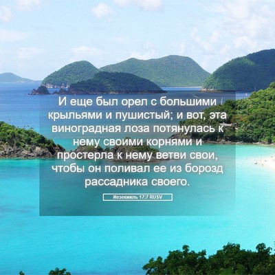 Picture 05 - Иезекииль 17:7 RUSV - И еще был орел с большими - Bible Verse Picture