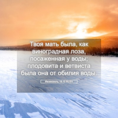 Picture 05 - Иезекииль 19:10 RUSV - Твоя мать была, как - Bible Verse Picture