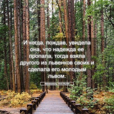 Picture 05 - Иезекииль 19:5 RUSV - И когда, пождав, увидела - Bible Verse Picture