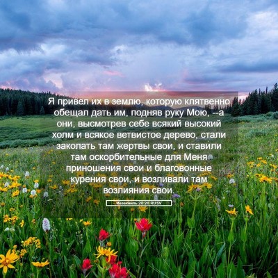 Picture 05 - Иезекииль 20:28 RUSV - Я привел их в землю, - Bible Verse Picture