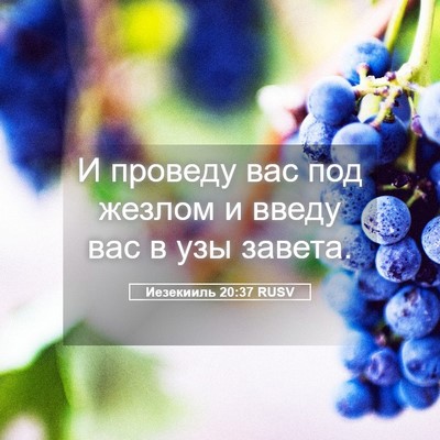 Picture 05 - Иезекииль 20:37 RUSV - И проведу вас под жезлом и - Bible Verse Picture