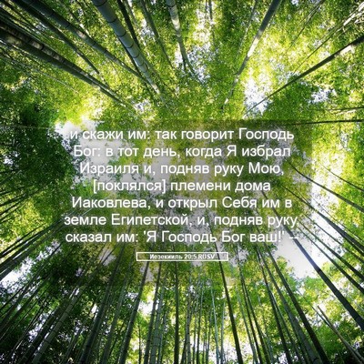 Picture 05 - Иезекииль 20:5 RUSV - и скажи им: так говорит - Bible Verse Picture